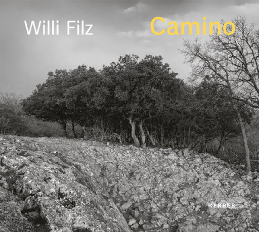 Willi Filz: Camino by Willi Filz