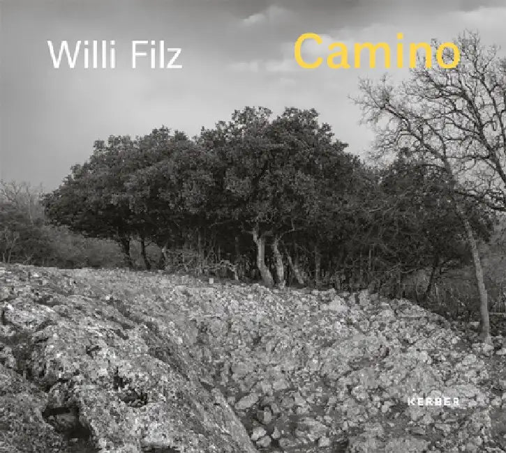 Willi Filz: Camino by Willi Filz