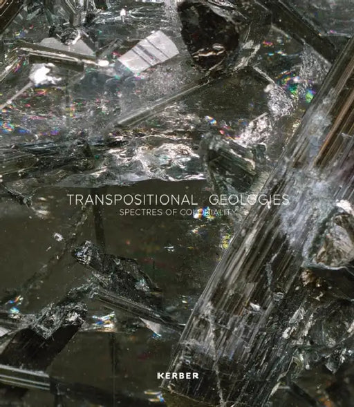 Transpositional Geologies by Sascha (EDT)/ Basu, Paul/ //gamxamûs, Charmaine/ Giebel, Johannes/ Grosz, Elizabeth Mikloweit
