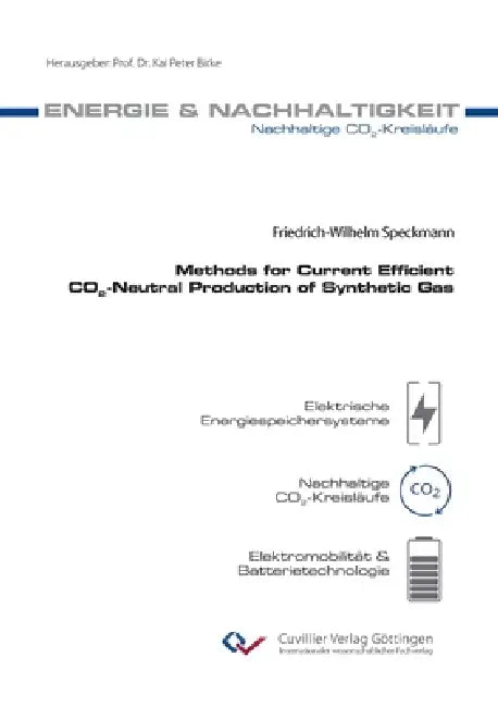 Methods for Current Efficient CO2-Neutral Production of Synthetic Gas by Friedrich-Wilhelm Speckmann