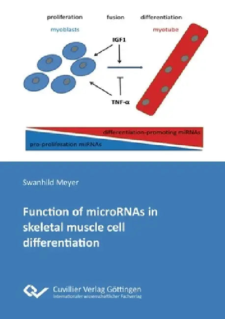 Function of microRNAs in skeletal muscle cell differentiation by Swanhild Meyer