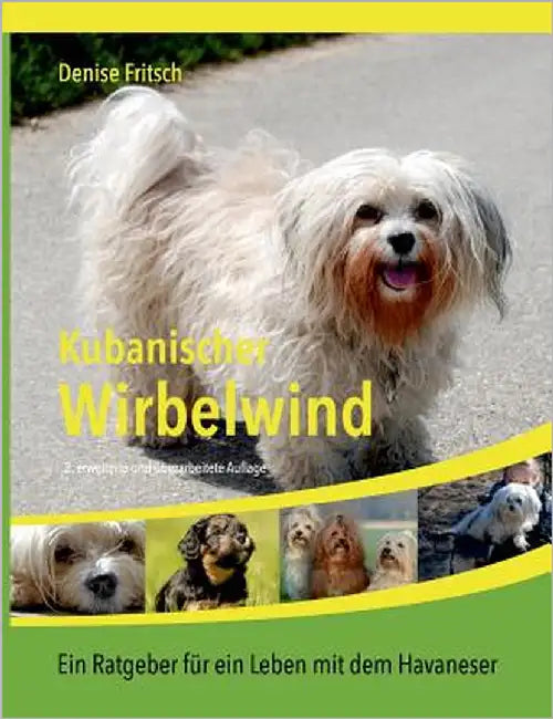 Kubanischer Wirbelwind: Ein Ratgeber für ein Leben mit dem Havaneser by Fritsch, Denise