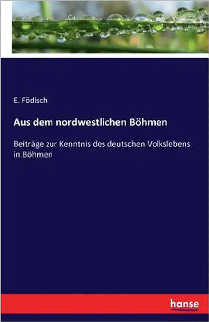 Aus dem nordwestlichen Böhmen: Beiträge zur Kenntnis des deutschen Volkslebens in Böhmen by Födisch, E.