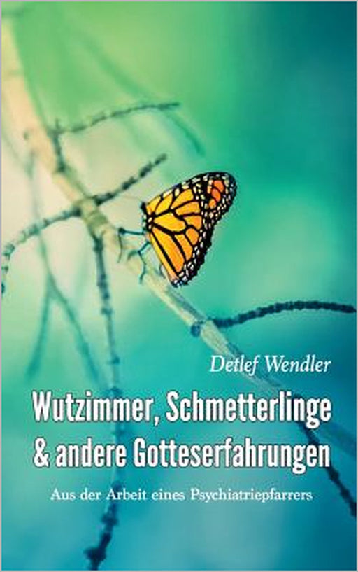 Wutzimmer, Schmetterlinge und andere Gotteserfahrungen: Aus der Arbeit eines Psychiatriepfarrers by Detlef Wendler