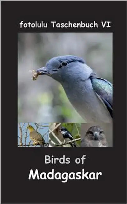Birds of Madagaskar by Fotolulu