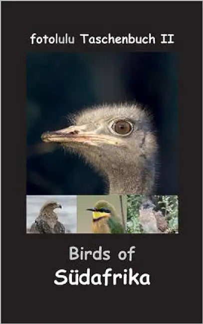 Birds of Südafrika by Fotolulu