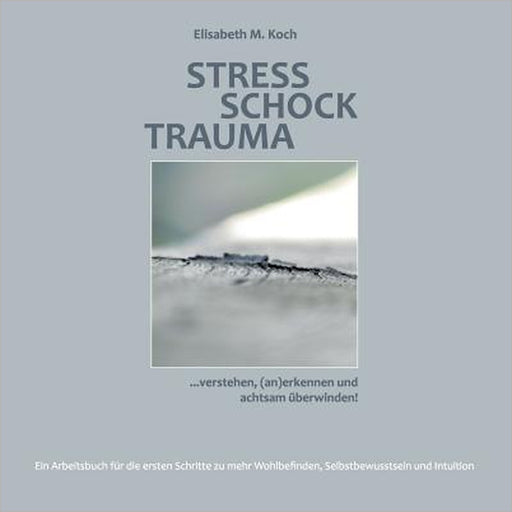 Stress Schock Trauma ... verstehen, (an)erkennen und achtsam überwinden: Ein Arbeitsbuch für die ersten Schritte zu mehr Wohlbefinden, Selbstbewusstse by Elisabeth M. Koch