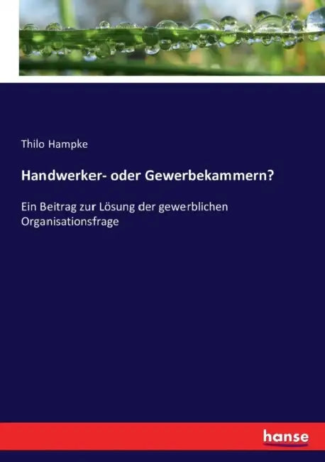 Handwerker- oder Gewerbekammern?: Ein Beitrag zur Lösung der gewerblichen Organisationsfrage by Thilo Hampke