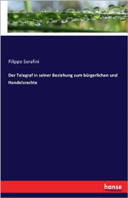Der Telegraf in seiner Beziehung zum bürgerlichen und Handelsrechte by Serafini, Filippo