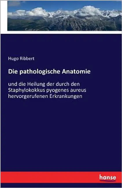 Die pathologische Anatomie: und die Heilung der durch den Staphylokokkus pyogenes aureus hervorgerufenen Erkrankungen by Ribbert, Hugo