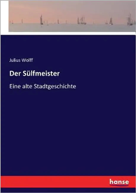 Der Sülfmeister: Eine alte Stadtgeschichte by Wolff, Julius