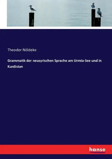 Grammatik der neusyrischen Sprache am Urmia-See und in Kurdistan by Theodor Nöldeke