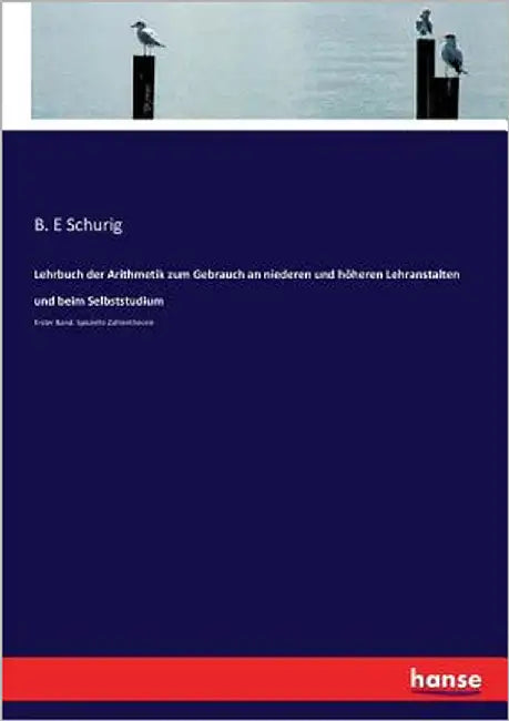 Lehrbuch der Arithmetik zum Gebrauch an niederen und höheren Lehranstalten und beim Selbststudium: Erster Band: Spezielle Zahlentheorie by Schurig, B. E.