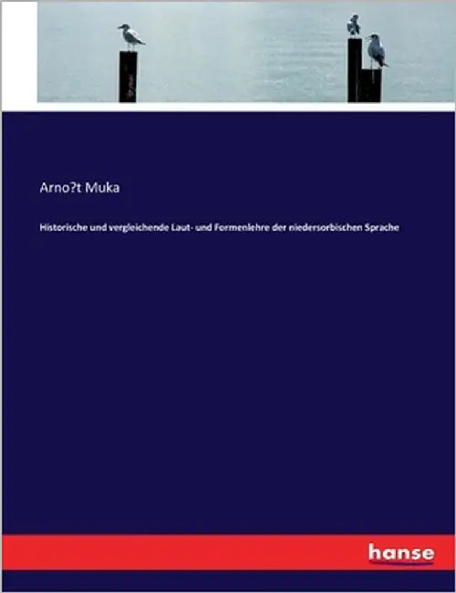 Historische und vergleichende Laut- und Formenlehre der niedersorbischen Sprache by Muka, Arnost