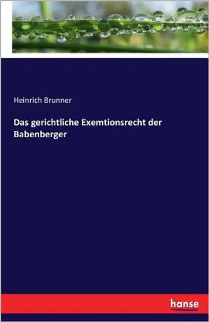 Das gerichtliche Exemtionsrecht der Babenberger by Brunner, Heinrich