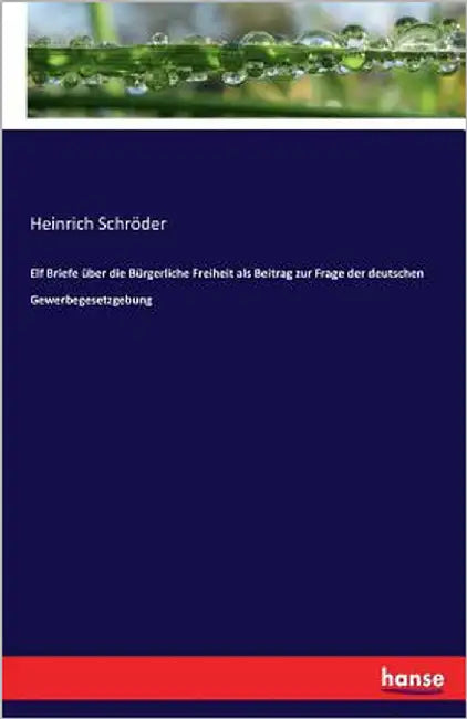 Elf Briefe über die Bürgerliche Freiheit als Beitrag zur Frage der deutschen Gewerbegesetzgebung by Schröder, Heinrich