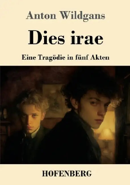 Dies irae: Eine Tragödie in fünf Akten by Anton Wildgans
