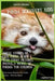 Panda Discovery Kids: Jungle Stories of Cute Panda Bears with Funny Pictures, Photos & Memes of Pandas for Children by Kate Cruso