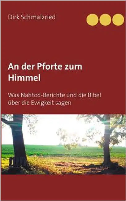 An der Pforte zum Himmel: Was Nahtod-Berichte und die Bibel über die Ewigkeit sagen by Schmalzried, Dirk