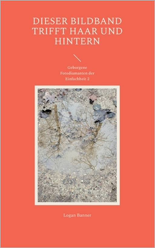 Dieser Bildband trifft Haar und Hintern: Geborgene Fotodiamanten der Einfachheit 2 by Logan Banner