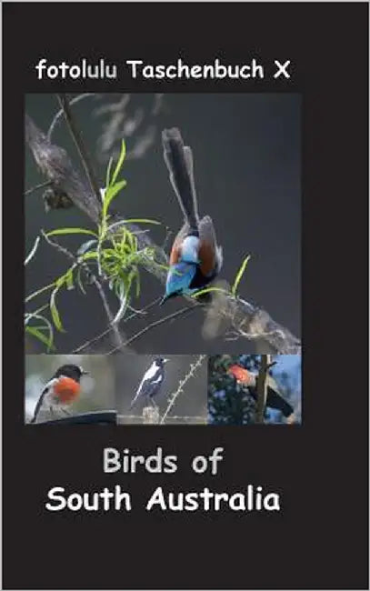Birds of South Australia: fotolulu Taschenbuch X by Fotolulu