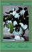 Freude an Kamelien by Urban, Helga &. Klaus