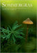 Sommergras 126: Vierteljahresschrift der Deutschen Haiku-Gesellschaft e. V. by Haiku-Gesellschaft E. V., Deutsche