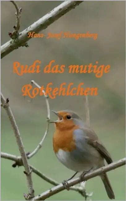 Rudi das mutige Rotkehlchen by Hungenberg, Hans-Josef