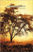 Afrika Momente by Weyhe, Evelyn