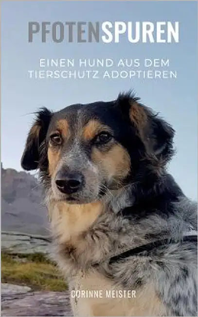 Pfotenspuren: Einen Hund aus dem Tierschutz adoptieren by Meister, Corinne