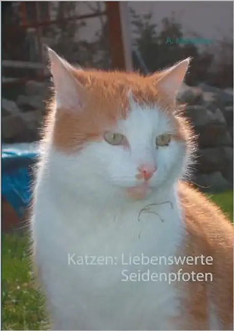 Katzen: Liebenswerte Seidenpfoten by Ketschau, A.