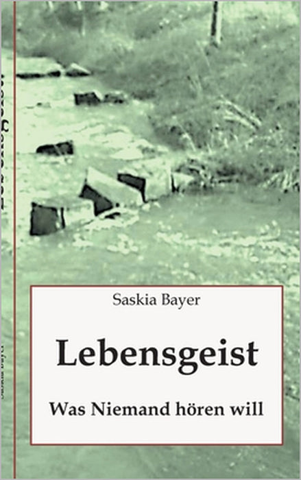 Lebensgeist: Was Niemand hören will by Saskia Bayer