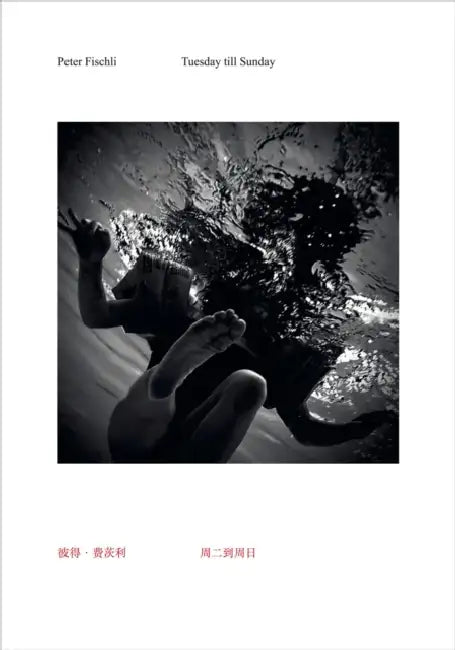Peter Fischli: Tuesday Till Sunday by Peter Fischli, Feiyue Chen, Hao Jingfang