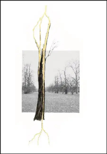 Giuseppe Penone: Thoughts in the Roots by Giuseppe Penone, Claude Adjil, Alexa Chow