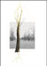 Giuseppe Penone: Thoughts in the Roots by Giuseppe Penone, Claude Adjil, Alexa Chow