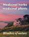 Medicinal herbs / medicinal plants: Wonders of nature by Helga Schilden