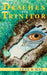 Drachen für Trinitor: Arne und Mag by Ralf Lehmann