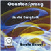 Quantensprung in die Ewigkeit: Perspektiven einer Verschränkung von Physik und Glauben by Kessel, Ursula