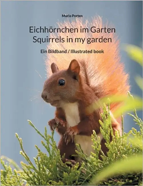 Eichhörnchen im Garten / Squirrels in my garden: Ein Bildband / Illustrated book by Porten, Mario