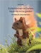 Eichhörnchen im Garten / Squirrels in my garden: Ein Bildband / Illustrated book by Porten, Mario
