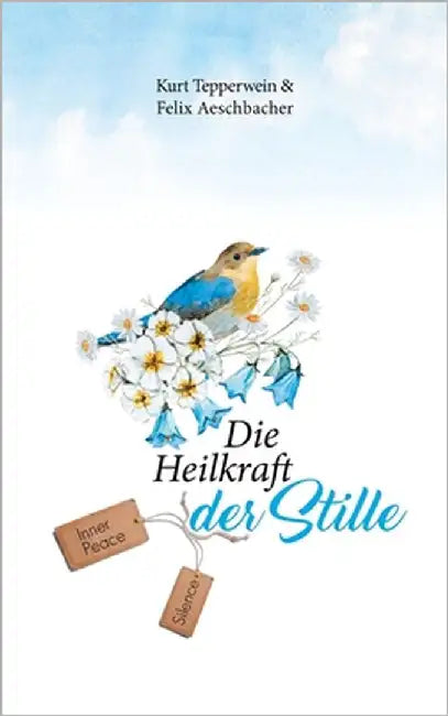 Die Heilkraft der Stille by Aeschbacher, Felix