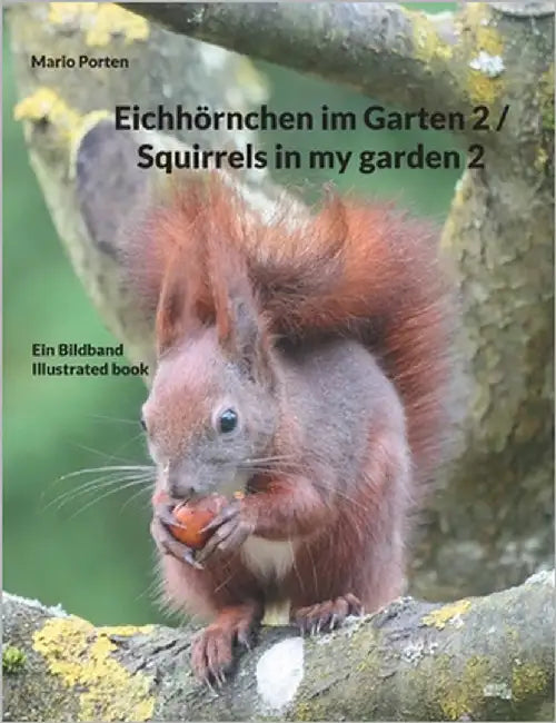 Eichhörnchen im Garten 2 / Squirrels in my garden 2: Ein Bildband / Illustrated book by Porten, Mario