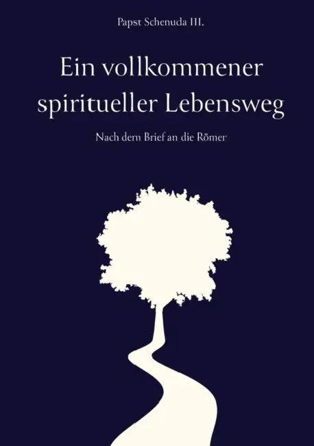 Ein vollkommener spiritueller Lebensweg: Nach dem Brief an die Römer by Papst Schenuda III