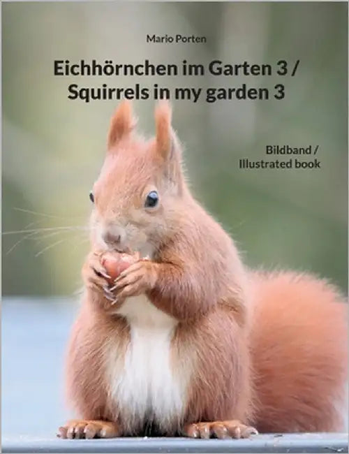 Eichhörnchen im Garten 3 / Squirrels in my garden 3 by Porten, Mario