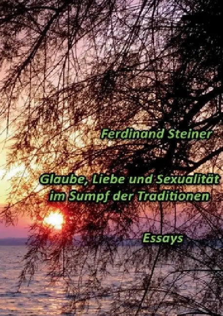 Glaube, Liebe und Sexualität im Sumpf der Traditionen: Essays by Ferdinand Steiner