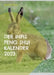 Der Infis Feng Shui Kalender 2023: Das Jahr des Hasen by Andre Pasteur