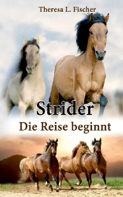 Strider: Die Reise beginnt by Theresa L. Fischer