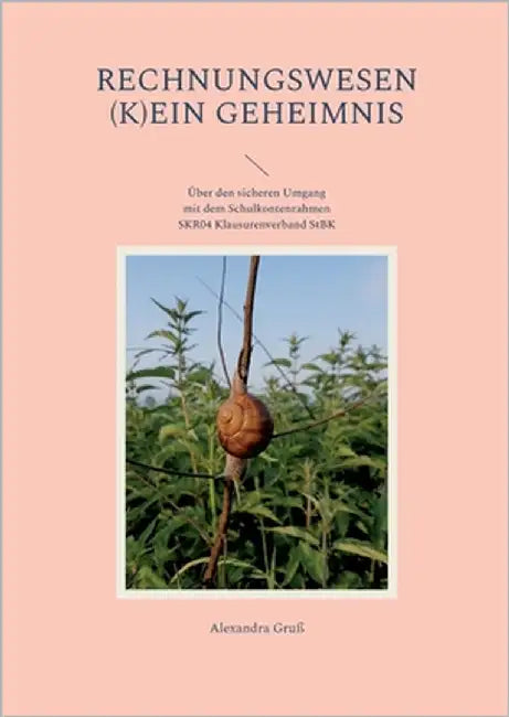 Rechnungswesen (k)ein Geheimnis: Über den sicheren Umgang mit dem Schulkontenrahmen der StBK by Gruß, Alexandra