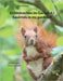 Eichhörnchen im Garten 4 / Squirrels in my garden 4: Ein Bildband / Illustrated book by Porten, Mario