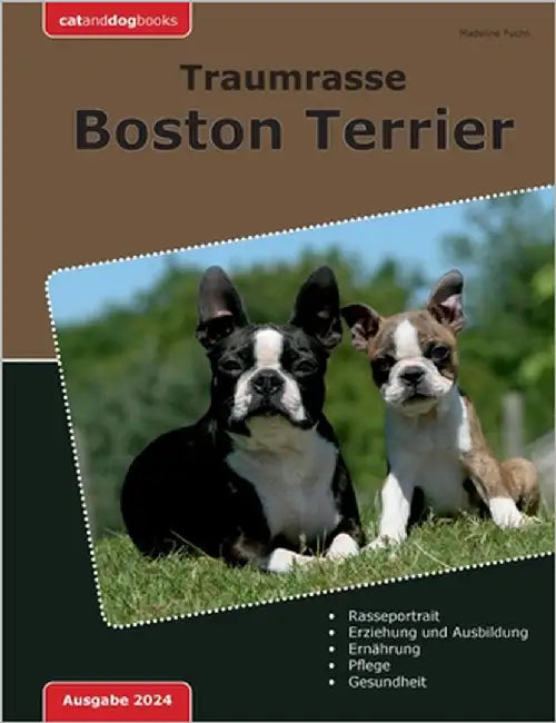 Traumrasse Boston Terrier by Fuchs, Madeline